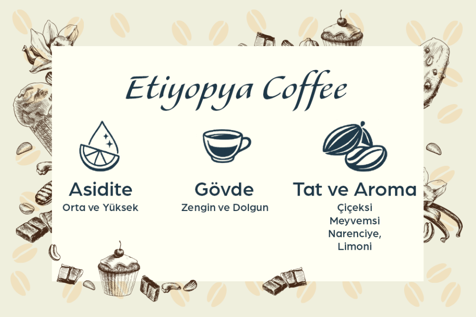 Pacifica Coffee Ethiopia Filtre Kahve